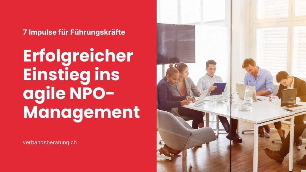 Erfolgreicher Einstieg ins agile NPO-Management1 0